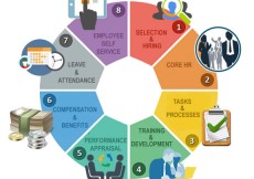 Development Impact Assessment, Financial Inclusion Programme (FIP)